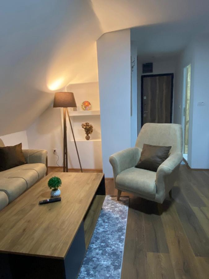 Apartmán Vila Simona Mavrovo Exteriér fotografie