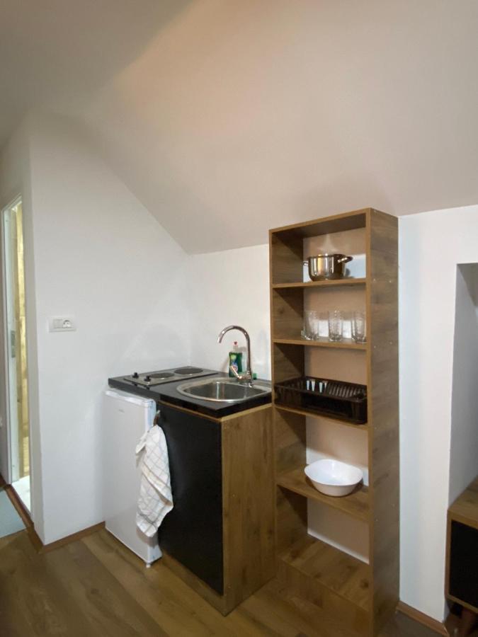 Apartmán Vila Simona Mavrovo Exteriér fotografie