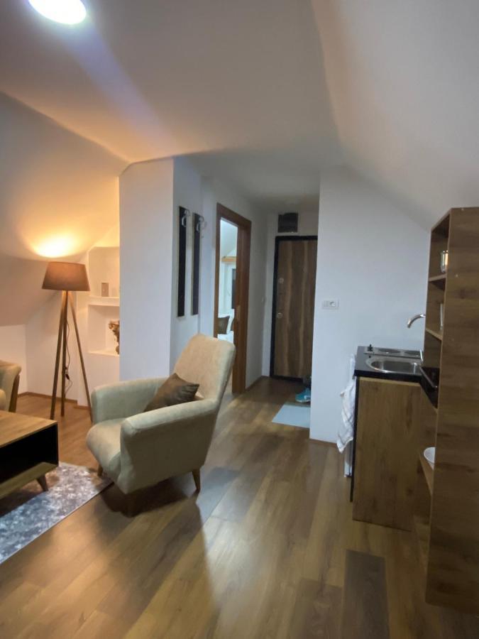 Apartmán Vila Simona Mavrovo Exteriér fotografie